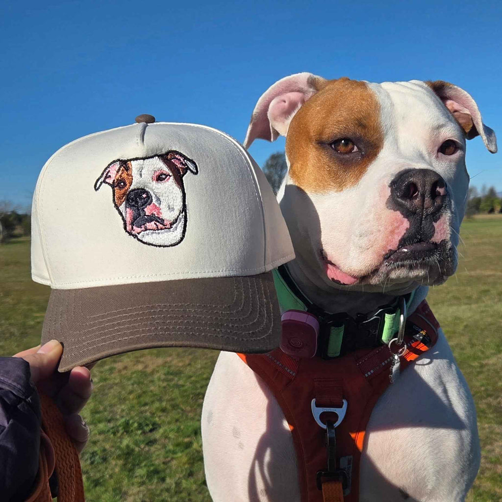 Companion HOODIE+CAP bundle